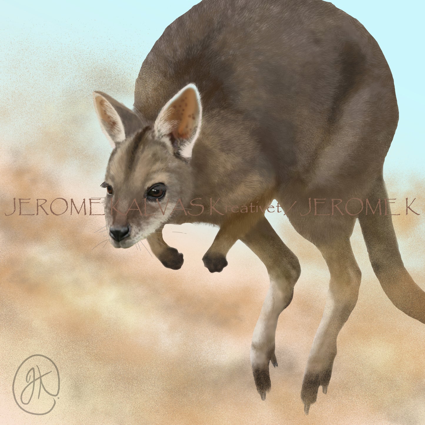 Tammar Wallaby