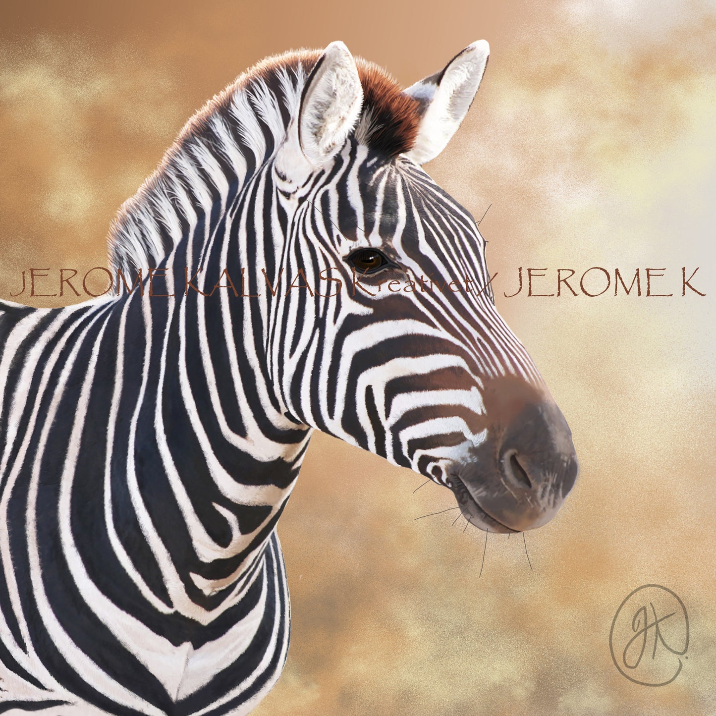 Zebra (Equus quagga) – Card