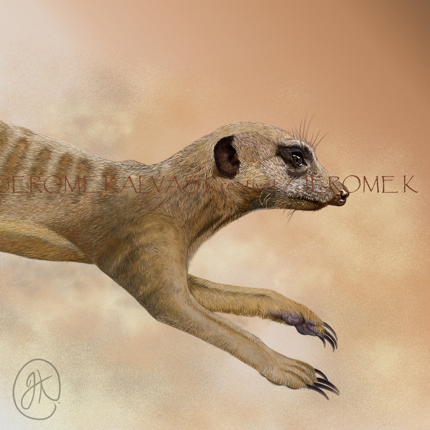 Meerkat (Suricata suricatta) – Print